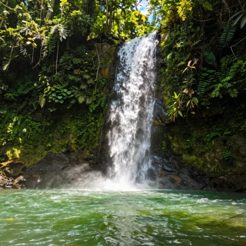 The waterfall inland